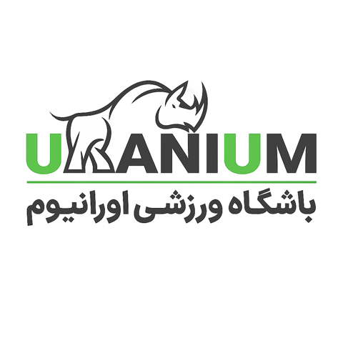 لوگو